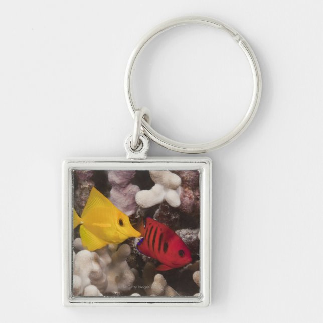 A Yellow Tang Key Ring (Front)