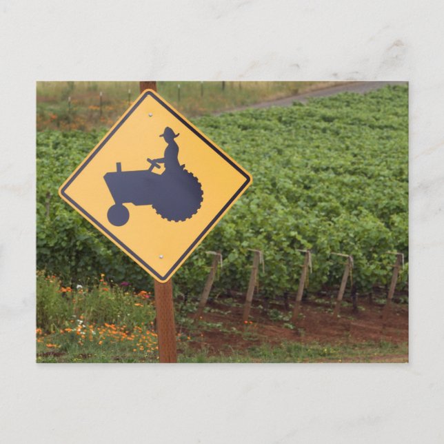 A yellow tractor crossing sign in the vineyard postcard (Front)