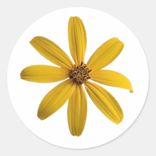 A Yellow Wildflower Sticker (Front)