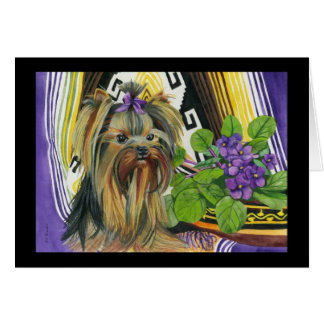 A Yorkie Named Violet