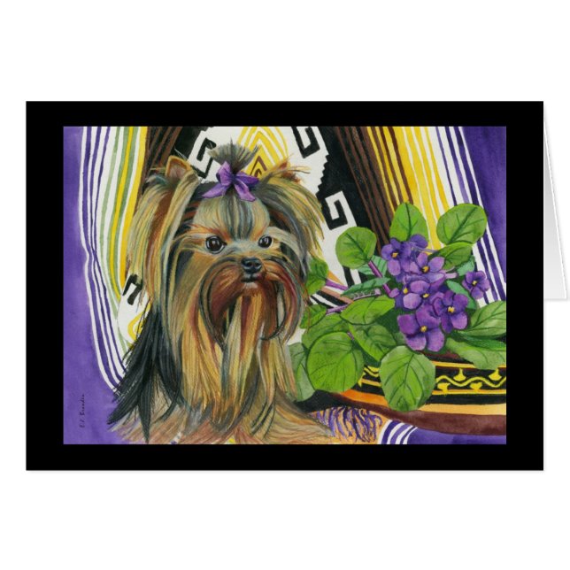 A Yorkie Named Violet (Front Horizontal)