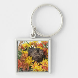 A Yorkie-Poo puppy in a basket of artificial Key Ring