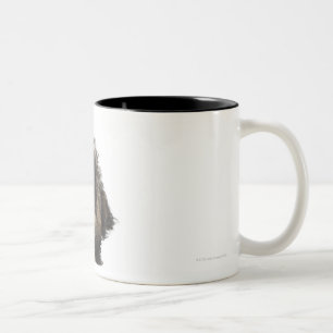 A Yorkie-poo puppy in a tutu on her hind legs. Two-Tone Coffee Mug