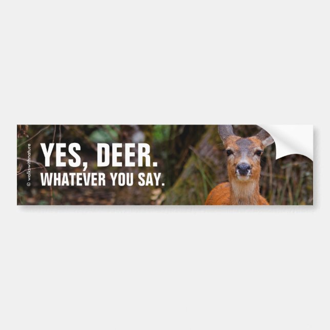 A Young Black-Tailed Deer Smiles Bumper Sticker (Front)