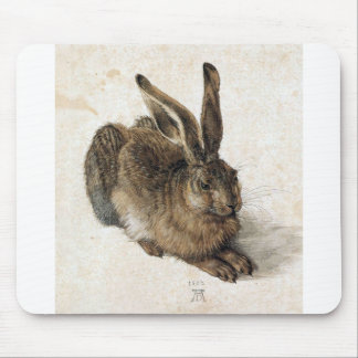 A Young Hair - Albrecht Durer - c1502 Mouse Pad