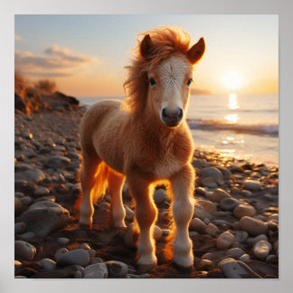 A young horse with a mane of flowing curls poster