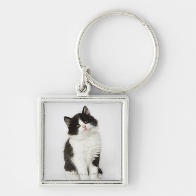 A young kitten sitting looking into the camera key ring (Front)