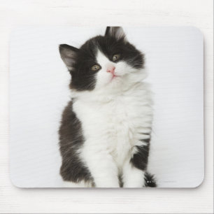 A young kitten sitting looking into the camera mouse pad