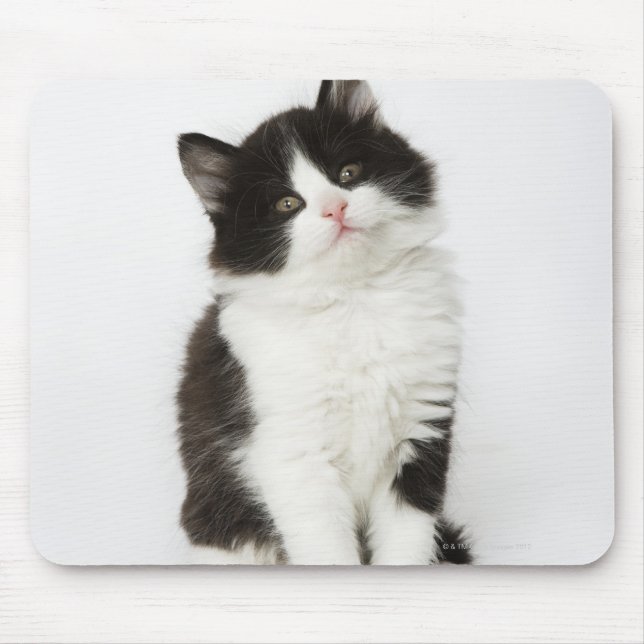 A young kitten sitting looking into the camera mouse pad (Front)
