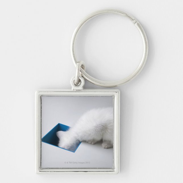 A Young Kitten Stretches His Head Down a Square Key Ring (Front)