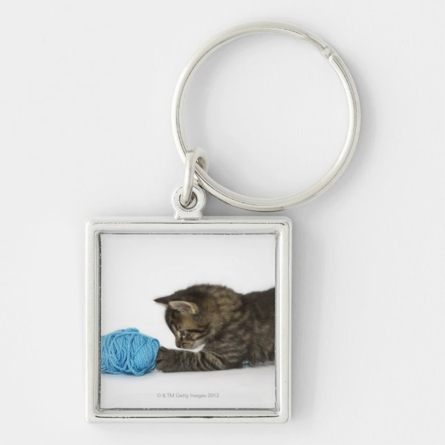 A young Tabby kitten playing with wool Key Ring (Front)