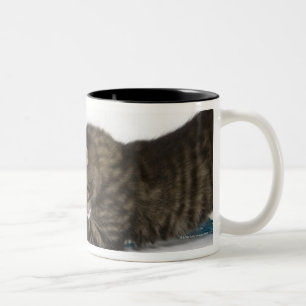 A young Tabby kitten playing with wool. Two-Tone Coffee Mug