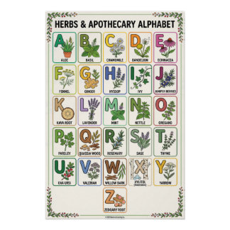  A - Z Herbs & Apothecary Alphabet  Poster