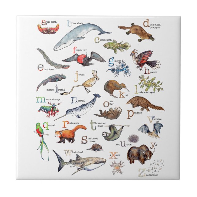 A-Z of amazing animals Ceramic Tile (Front)