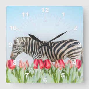 A Zebra Among the Tulips Square Wall Clock