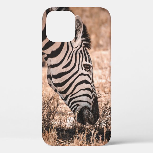 A ZEBRA ETOSHA NATIONAL PARK Case-Mate iPhone CASE (Back)