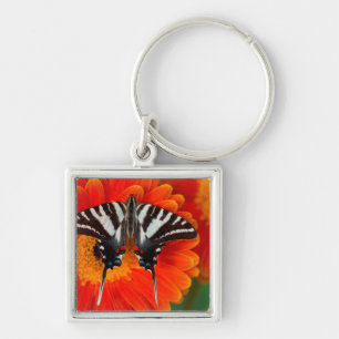 A Zebra Swallowtail Butterfly Key Ring