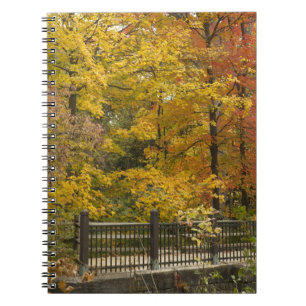 aa notebook