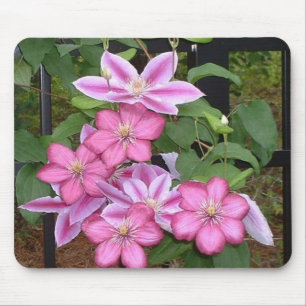 AA- Pink clematis flower mousepad