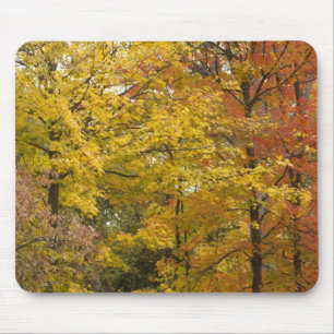 aaa mouse pad
