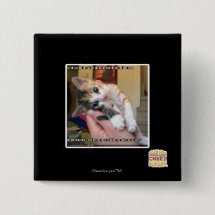 Aaaws 15 Cm Square Badge