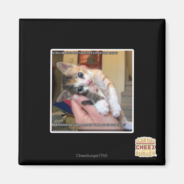 Aaaws Magnet (Front)