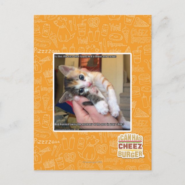 Aaaws Postcard (Front)