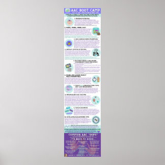 AAC Boot Camp Infographic Poster (English)