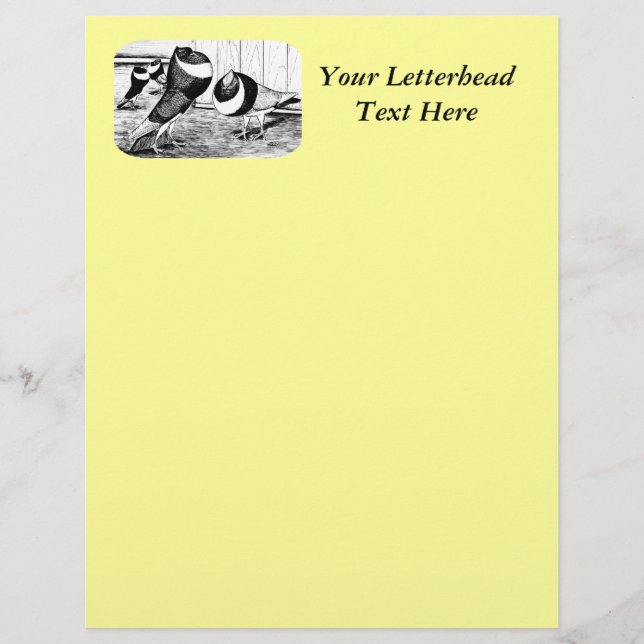 Aachen Band Cropper Pigeons (Front)