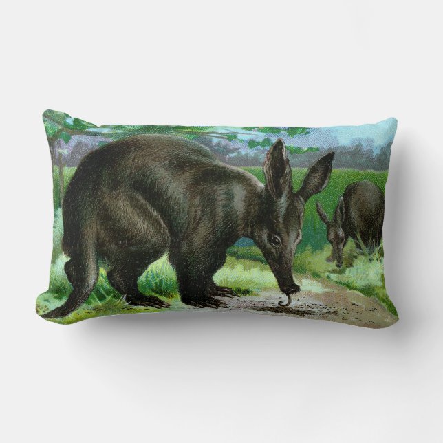 Aardvark Eating Ants Lumbar Cushion (Front)