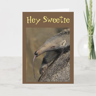 AARDVARK WILL "LOVE YOU FOREVER" KISS ME! CARD