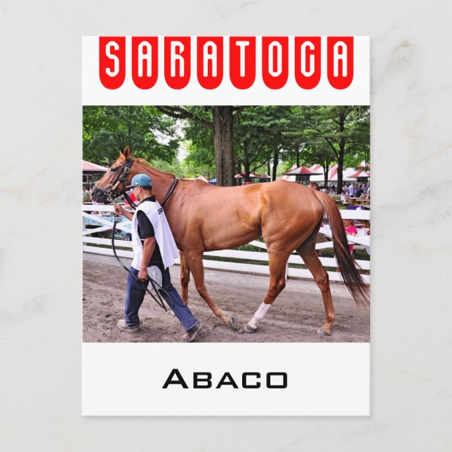 Abaco - Phipps Stables Postcard (Front)