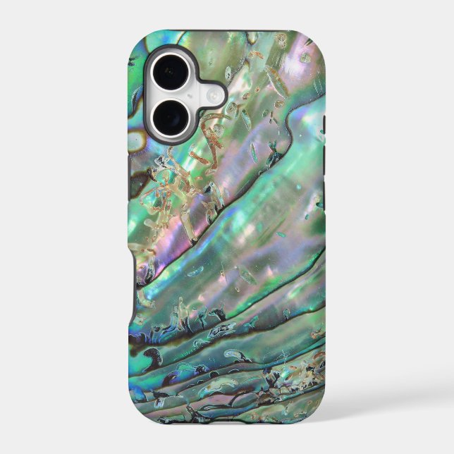 Abalone (Back)