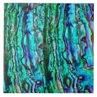 Abalone  ceramic tile