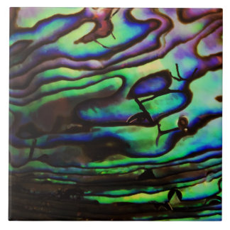 ABALONE CERAMIC TILE