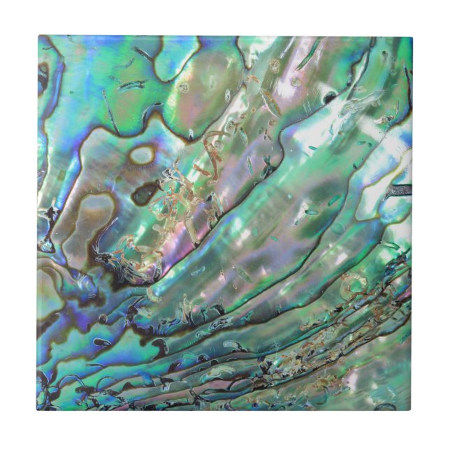Abalone Ceramic Tile (Front)