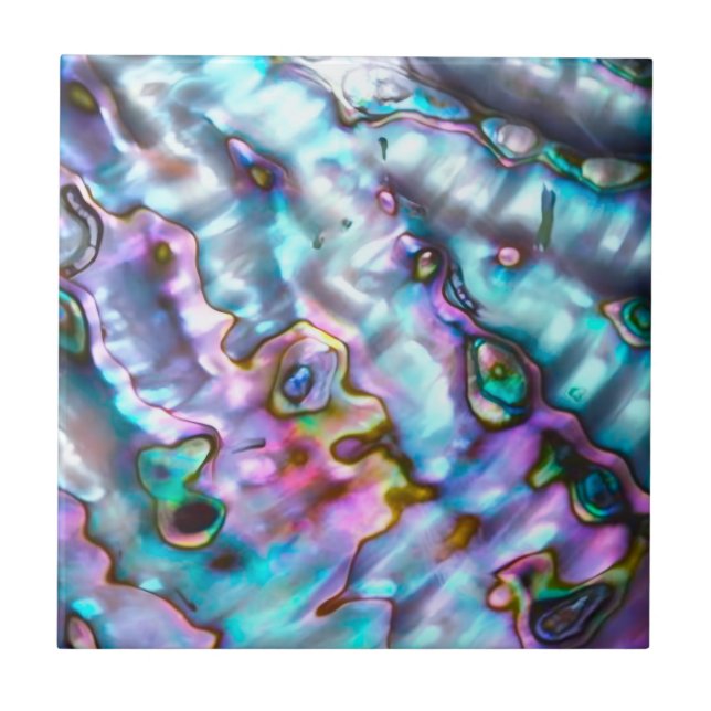 Abalone Ceramic Tile (Front)