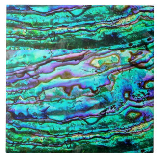 Abalone  ceramic tile