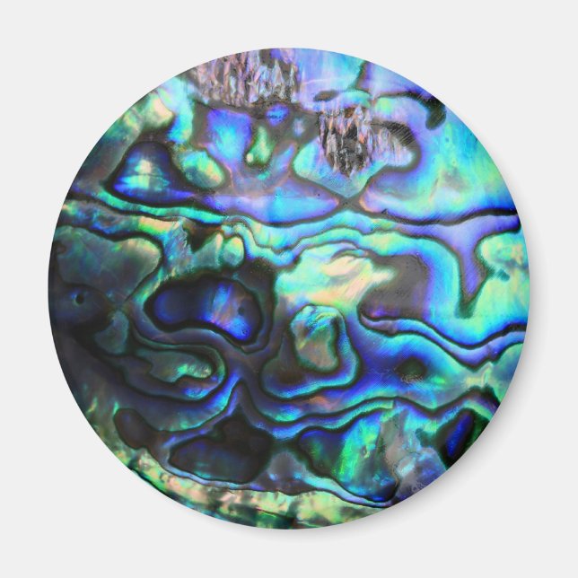 Abalone paua shell magnet (Front)