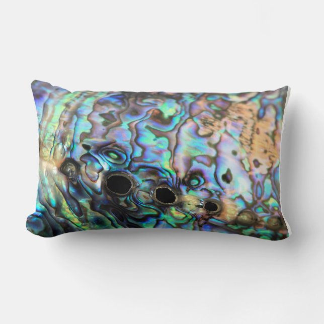 Abalone paua shell pillow (Front)
