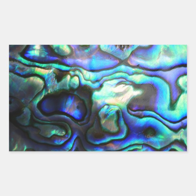 Abalone paua shell rectangular sticker (Front)
