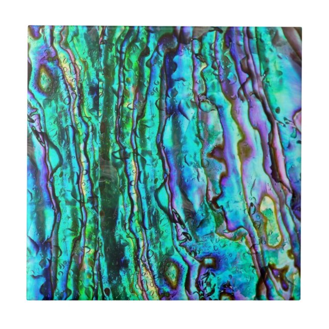 Abalone printed ceramic tile (Front)