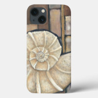 Abalone Shell