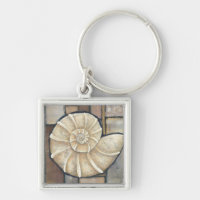 Abalone Shell