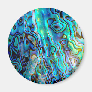 Abalone shell magnet