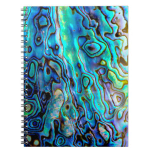 Abalone shell notebook
