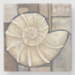 Abalone Shell Stone Coaster