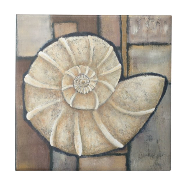 Abalone Shell Tile (Front)