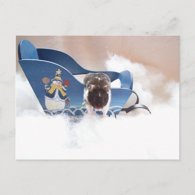 abandon sled!! postcard (Front)