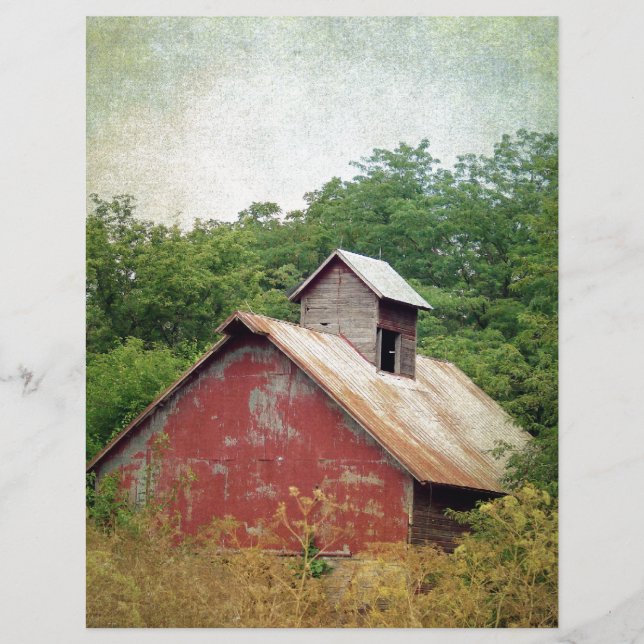 Abandoned and Overgrown (Front)